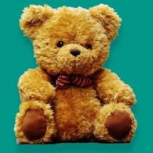 peluche peluche