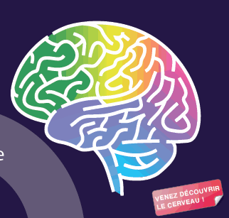 Logo semaine du cerveau 2014