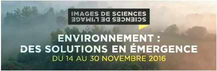 Visuel Images de sciences, sciences de l'image du 14 au 30 novembre 2016