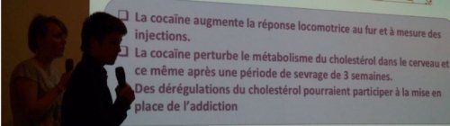 Jules JABOUILLE et Titiane PICHET : _ « Modulation de la voie du cholestérol par des administrations de cocaïne »