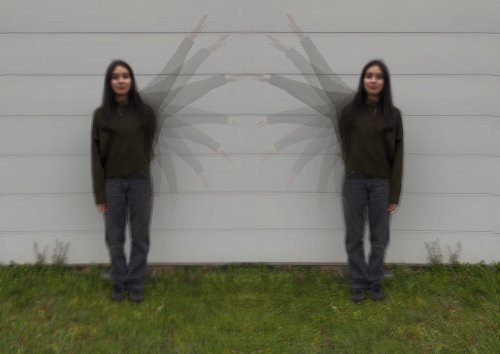 ailes_symetriques_camille_pasquet