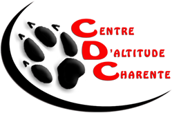 titre-haut titre-haut