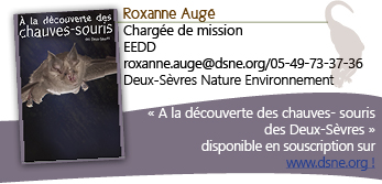 Carte de visite Roxanne Augé