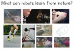 robots_and_nature