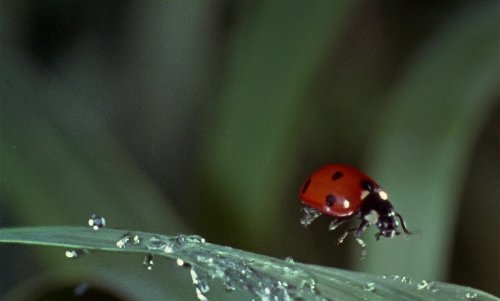 micro_de_9_4 micro_de_9_4