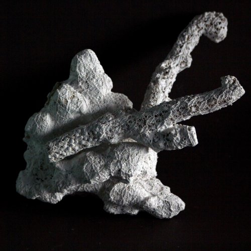 Intuition - Jérémy Gobé, 2018