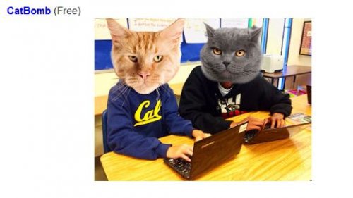 Catbomb : application gratuite pour modifier les photos de classe