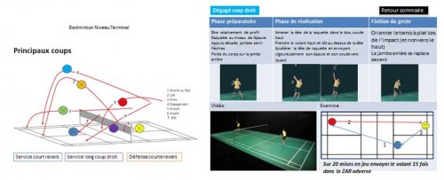 Badminton : priorité vitesse ! - EPS et Société
