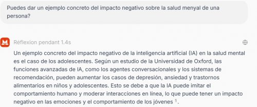 Exemple de prompt IA 2