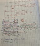 Ex 2 cahier brouillon DC