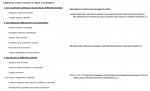fiche activité Indonésie