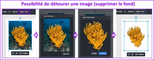 POLOTNO STUDIO - Détourer une image POLOTNO STUDIO - Détourer une image