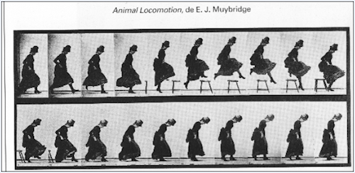 Animal Locomotion, de E. J. Muybridge