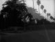 Sunset Boulevard - Image 6