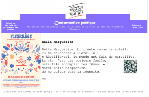 Exemple de contravention poétique - Elève 1.