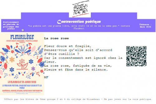 Exemple de contravention poétique - Elève 2.