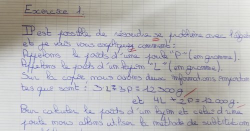 Exemple de copie du DM Exemple de copie du DM