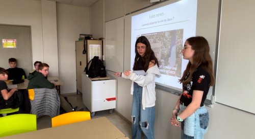 Chaque groupe rend compte de ses recherches devant la classe entière Chaque groupe rend compte de ses recherches devant la classe entière