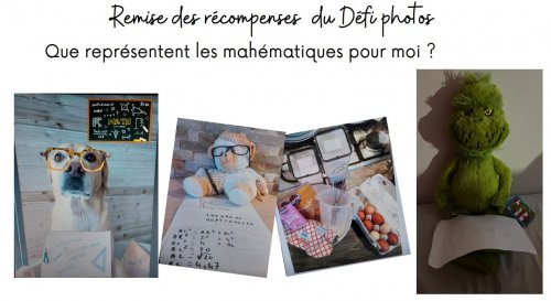 Quelques exemples de photos réalisées par les élèves