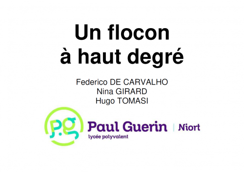 Couverture du diaporama sur les graphes à degrés imposés