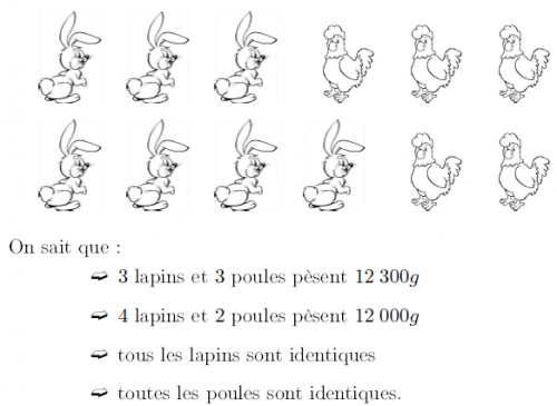 DM Lapins Poules DM Lapins Poules
