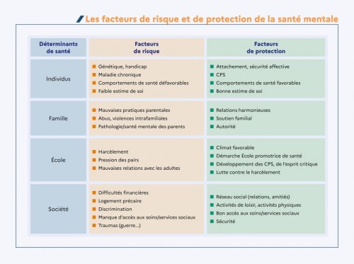 infog_facteurs_risque_protection_santementale infog_facteurs_risque_protection_santementale