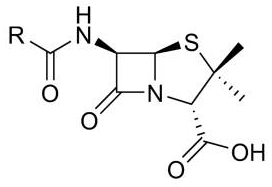 Structure chimique de la pénicilline 