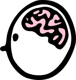 Votre cerveau Votre cerveau