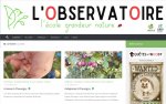 blog_observatoire