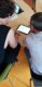 Echanges entre enseignants