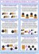 Infographie : Une mallette de 15 tablettes pour 30 élèves... On s'organise !!