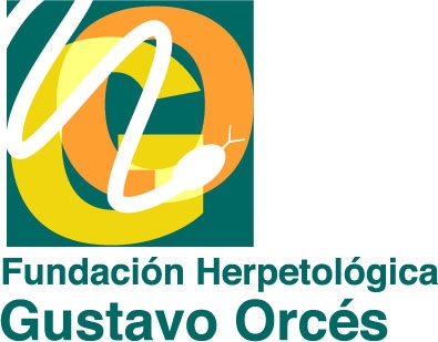 logo_gustavo_orces