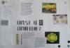 un document