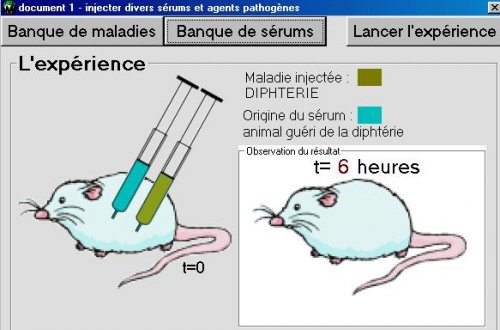 Injections de toxines et de sérums à des souris