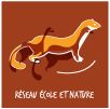 Logo_REN-Site