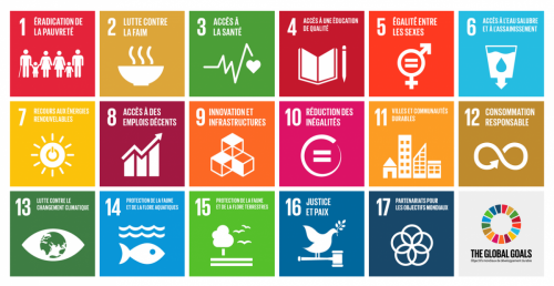 Logo des ODD de l'ONU
